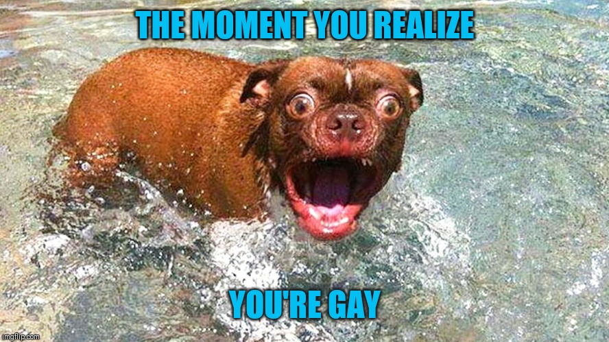 THE MOMENT YOU REALIZE; YOU'RE GAY | image tagged in lol,wtf,oh wow are you actually reading these tags | made w/ Imgflip meme maker