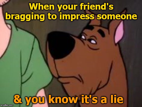 WTF, Shag? |  When your friend's bragging to impress someone; & you know it's a lie | image tagged in scooby doo,why you always lying,memes,funny memes | made w/ Imgflip meme maker