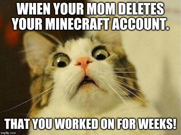 Scared Cat | WHEN YOUR MOM DELETES YOUR MINECRAFT ACCOUNT. THAT YOU WORKED ON FOR WEEKS! | image tagged in memes,scared cat | made w/ Imgflip meme maker