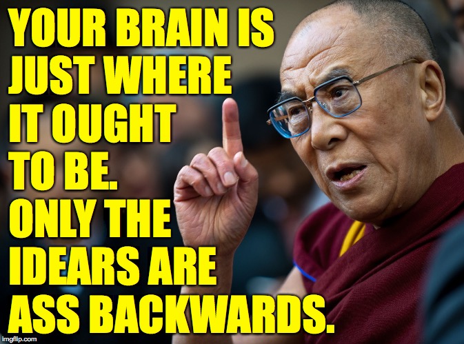 dalai lama | YOUR BRAIN IS
JUST WHERE
IT OUGHT
TO BE.
ONLY THE
IDEARS ARE
ASS BACKWARDS. | image tagged in dalai lama | made w/ Imgflip meme maker