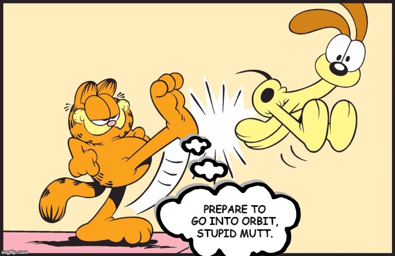 Garfield kicking odie | PREPARE TO GO INTO ORBIT, STUPID MUTT. | image tagged in garfield kicking odie | made w/ Imgflip meme maker