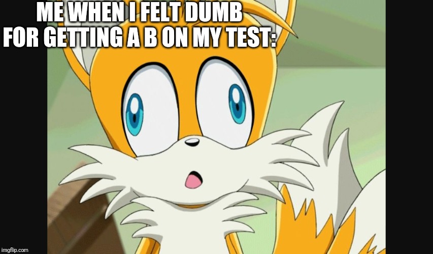 I Feel Stupid | ME WHEN I FELT DUMB FOR GETTING A B ON MY TEST: | image tagged in sonic- derp tails | made w/ Imgflip meme maker