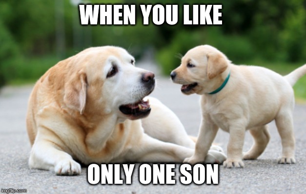 WHEN YOU LIKE; ONLY ONE SON | image tagged in philosoraptor | made w/ Imgflip meme maker