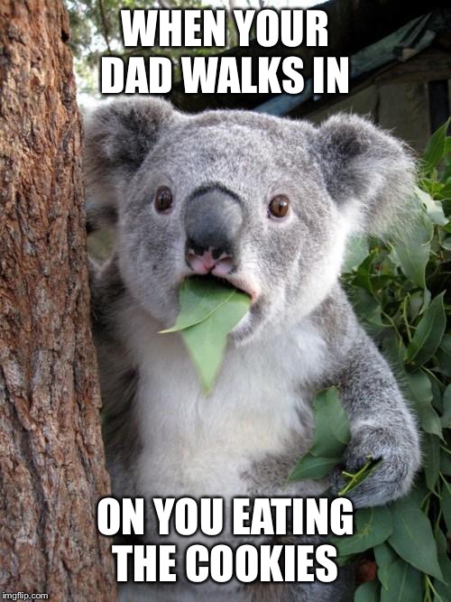 Surprised Koala Meme | WHEN YOUR DAD WALKS IN; ON YOU EATING THE COOKIES | image tagged in memes,surprised koala | made w/ Imgflip meme maker