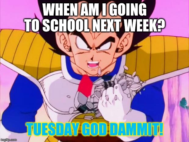 Vegeta scouter crush | WHEN AM I GOING TO SCHOOL NEXT WEEK? TUESDAY GOD DAMMIT! | image tagged in vegeta scouter crush | made w/ Imgflip meme maker