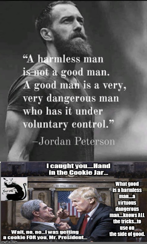 Trump, Dangerous man, good man! | What good is a harmless man....a virtuous dangerous man....knows ALL the tricks...to use on the side of good. | image tagged in jordan peterson,trump,2020 elections,mueller | made w/ Imgflip meme maker