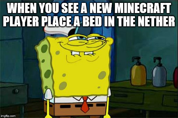 Don't You Squidward Meme | WHEN YOU SEE A NEW MINECRAFT PLAYER PLACE A BED IN THE NETHER | image tagged in memes,dont you squidward | made w/ Imgflip meme maker