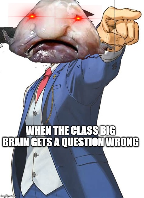 Blobfish Ace | WHEN THE CLASS BIG BRAIN GETS A QUESTION WRONG | image tagged in blobfish ace | made w/ Imgflip meme maker