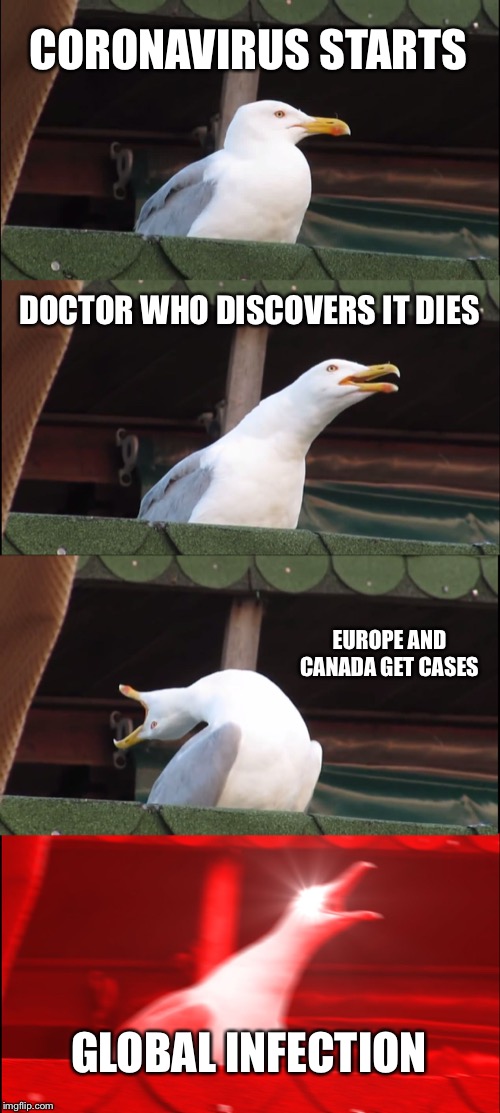 Inhaling Seagull Meme | CORONAVIRUS STARTS; DOCTOR WHO DISCOVERS IT DIES; EUROPE AND CANADA GET CASES; GLOBAL INFECTION | image tagged in memes,inhaling seagull | made w/ Imgflip meme maker