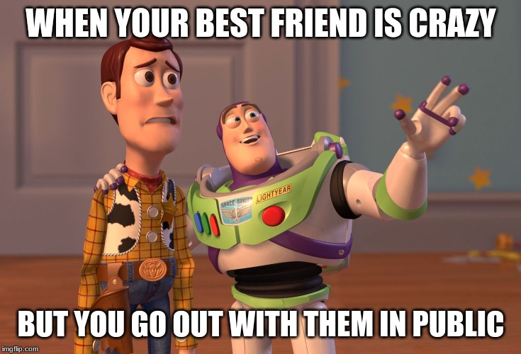X, X Everywhere Meme | WHEN YOUR BEST FRIEND IS CRAZY; BUT YOU GO OUT WITH THEM IN PUBLIC | image tagged in memes,x x everywhere | made w/ Imgflip meme maker