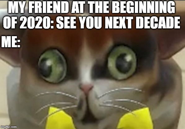 MY FRIEND AT THE BEGINNING OF 2020: SEE YOU NEXT DECADE; ME: | image tagged in cats | made w/ Imgflip meme maker