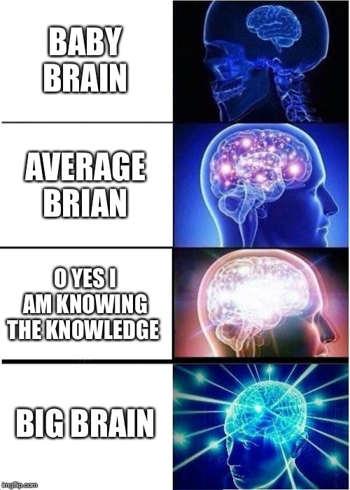 Expanding Brain Meme | BABY BRAIN; AVERAGE BRIAN; O YES I AM KNOWING THE KNOWLEDGE; BIG BRAIN | image tagged in memes,expanding brain | made w/ Imgflip meme maker