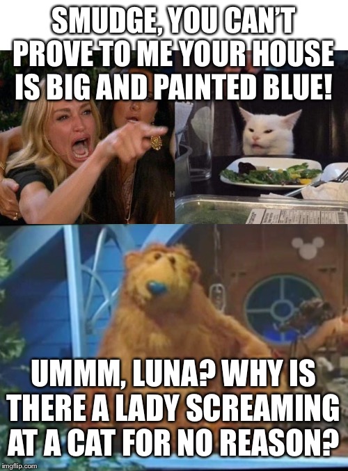 SMUDGE, YOU CAN’T PROVE TO ME YOUR HOUSE IS BIG AND PAINTED BLUE! UMMM, LUNA? WHY IS THERE A LADY SCREAMING AT A CAT FOR NO REASON? | image tagged in memes,woman yelling at cat | made w/ Imgflip meme maker