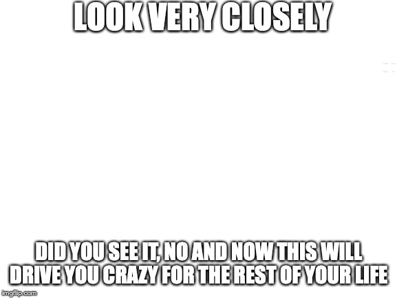 Blank White Template | LOOK VERY CLOSELY; DID YOU SEE IT, NO AND NOW THIS WILL DRIVE YOU CRAZY FOR THE REST OF YOUR LIFE | image tagged in blank white template | made w/ Imgflip meme maker