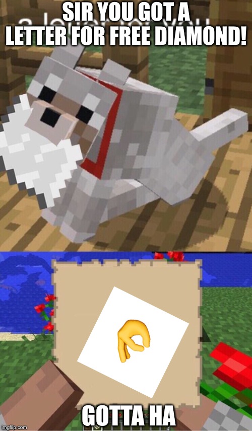 You really are look for diamond but you found something different | SIR YOU GOT A LETTER FOR FREE DIAMOND! GOTTA HA | image tagged in minecraft mail | made w/ Imgflip meme maker