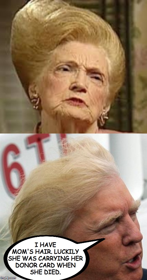Trump family hairloom. | I HAVE
MOM'S HAIR. LUCKILY
SHE WAS CARRYING HER
DONOR CARD WHEN
SHE DIED. | image tagged in trump hair,memes,family hairloom | made w/ Imgflip meme maker