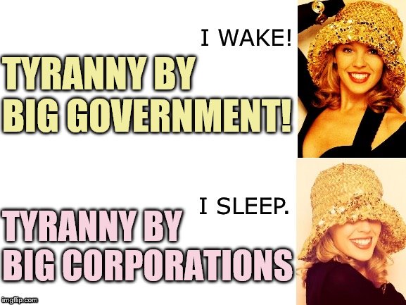 Typical outlook of a libertarian, a philosophy I've outgrown. | TYRANNY BY BIG GOVERNMENT! TYRANNY BY BIG CORPORATIONS | image tagged in kylie i wake/i sleep,libertarian,corporate greed,corporations,big government,tyranny | made w/ Imgflip meme maker