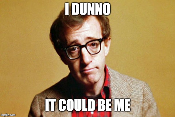 Woody Allen | I DUNNO IT COULD BE ME | image tagged in woody allen | made w/ Imgflip meme maker