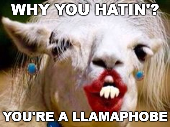 Those hateful bigots .... | WHY YOU HATIN'? YOU'RE A LLAMAPHOBE | image tagged in llama,llama drama,i don't want no obama llama drama,llamaphobe | made w/ Imgflip meme maker