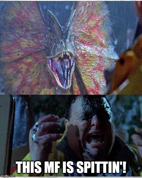 Hmmm, maybe I took this too literally.... | THIS MF IS SPITTIN'! | image tagged in jurassic park,spittin | made w/ Imgflip meme maker