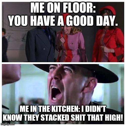 ME ON FLOOR: YOU HAVE A GOOD DAY. ME IN THE KITCHEN: I DIDN'T KNOW THEY STACKED SHIT THAT HIGH! | image tagged in restaurant | made w/ Imgflip meme maker
