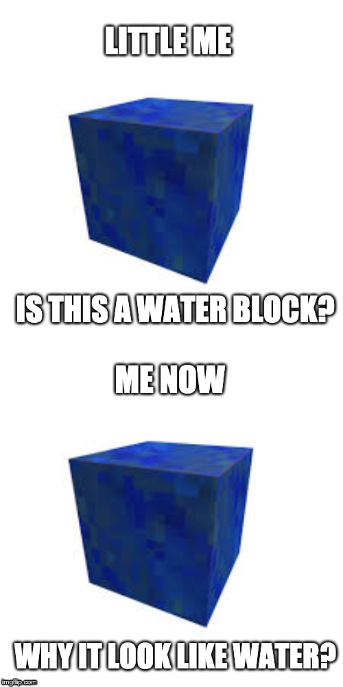 Did or does this look like water to you when you played minecraft | LITTLE ME; IS THIS A WATER BLOCK? ME NOW; WHY IT LOOK LIKE WATER? | image tagged in memes,minecraft | made w/ Imgflip meme maker