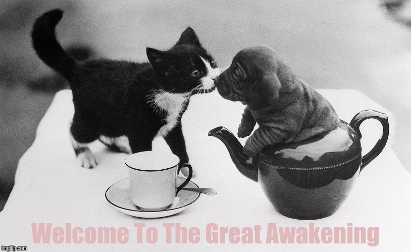 #WWG1WGAWW x x X | Welcome To The Great Awakening | image tagged in the great awakening,x x everywhere,qanon,world,love,president trump | made w/ Imgflip meme maker