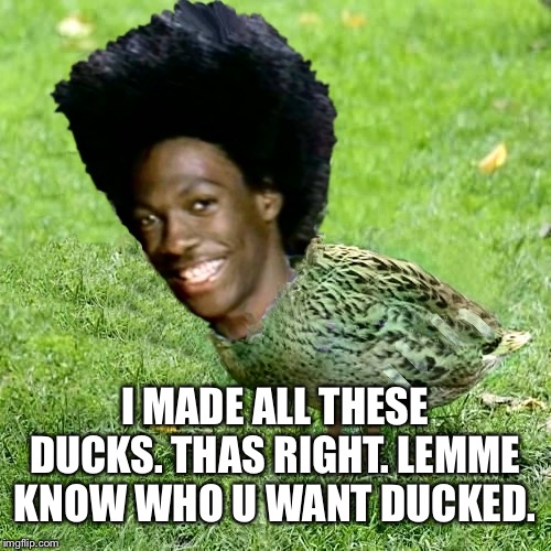 Duckith Wheatith | I MADE ALL THESE DUCKS. THAS RIGHT. LEMME KNOW WHO U WANT DUCKED. | image tagged in duckith wheatith | made w/ Imgflip meme maker