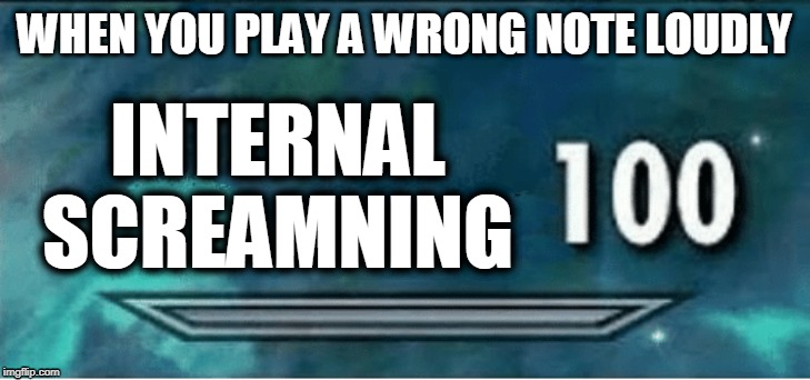 Skyrim 100 Blank | WHEN YOU PLAY A WRONG NOTE LOUDLY; INTERNAL SCREAMNING | image tagged in skyrim 100 blank | made w/ Imgflip meme maker