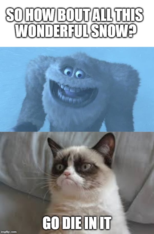 SNOW! | SO HOW BOUT ALL THIS 
WONDERFUL SNOW? GO DIE IN IT | image tagged in grumpy cat,memes,monsters inc,snow,winter | made w/ Imgflip meme maker