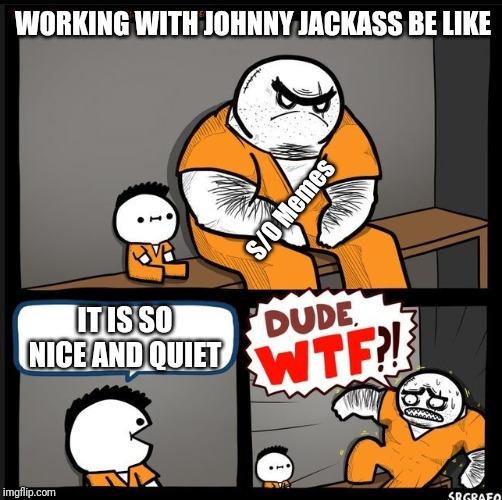 Srgrafo dude wtf | WORKING WITH JOHNNY JACKASS BE LIKE; S/O Memes; IT IS SO NICE AND QUIET | image tagged in srgrafo dude wtf | made w/ Imgflip meme maker