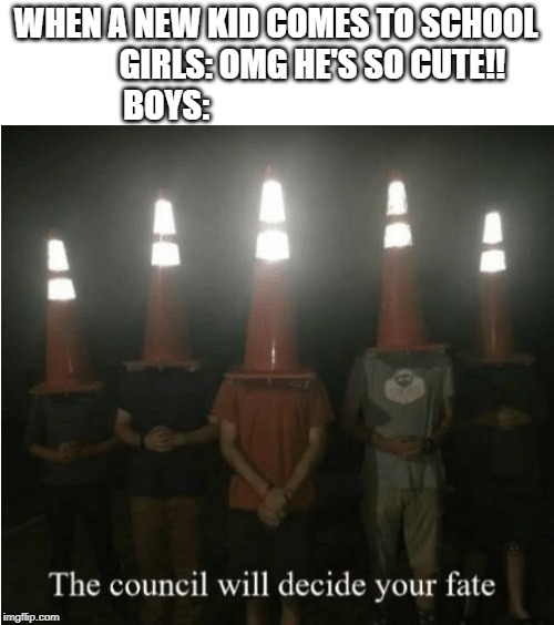 The council will decide your fate | WHEN A NEW KID COMES TO SCHOOL
             GIRLS: OMG HE'S SO CUTE!!  
BOYS: | image tagged in the council will decide your fate | made w/ Imgflip meme maker