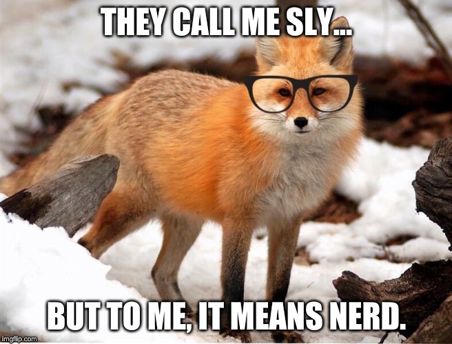 THEY CALL ME SLY... BUT TO ME, IT MEANS NERD. | image tagged in fox,glasses,smart,sly,funny | made w/ Imgflip meme maker
