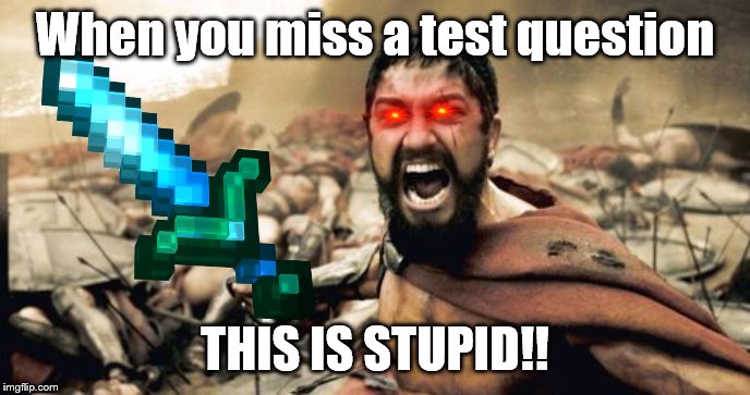 Sparta Leonidas | When you miss a test question; THIS IS STUPID!! | image tagged in memes,sparta leonidas | made w/ Imgflip meme maker