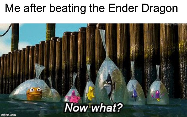 Now What? | Me after beating the Ender Dragon | image tagged in now what | made w/ Imgflip meme maker