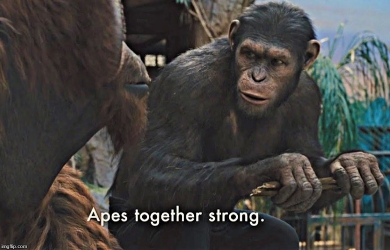 Apes Together Strong | image tagged in apes together strong | made w/ Imgflip meme maker