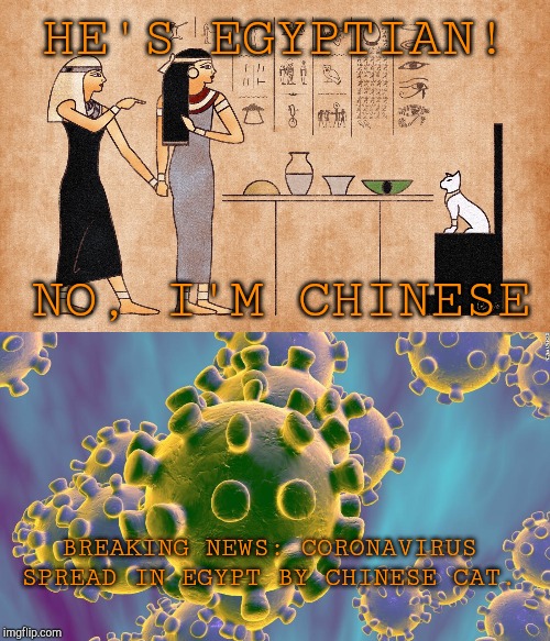 HE'S EGYPTIAN! NO, I'M CHINESE; BREAKING NEWS: CORONAVIRUS SPREAD IN EGYPT BY CHINESE CAT. | image tagged in ancient egyptian memes,coronavirus | made w/ Imgflip meme maker