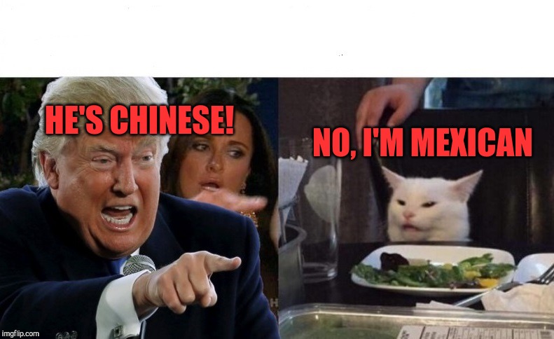 Trump Yelling At Cat | NO, I'M MEXICAN; HE'S CHINESE! | image tagged in trump yelling at cat | made w/ Imgflip meme maker