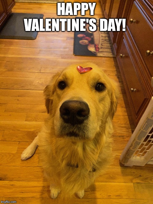 ? | HAPPY VALENTINE'S DAY! | image tagged in valentine's day | made w/ Imgflip meme maker