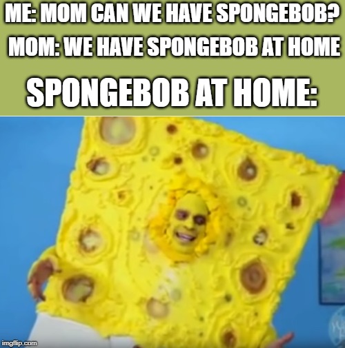 ME: MOM CAN WE HAVE SPONGEBOB? MOM: WE HAVE SPONGEBOB AT HOME; SPONGEBOB AT HOME: | image tagged in memes,porn | made w/ Imgflip meme maker