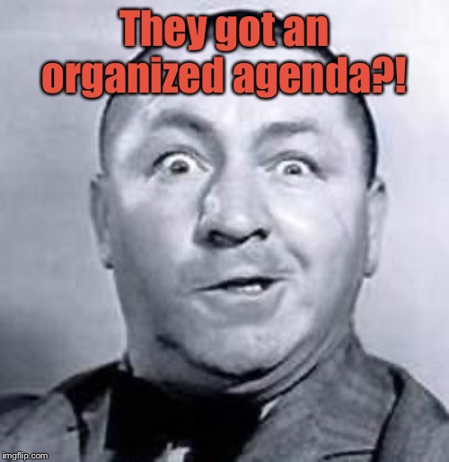 Curly | They got an organized agenda?! | image tagged in curly | made w/ Imgflip meme maker