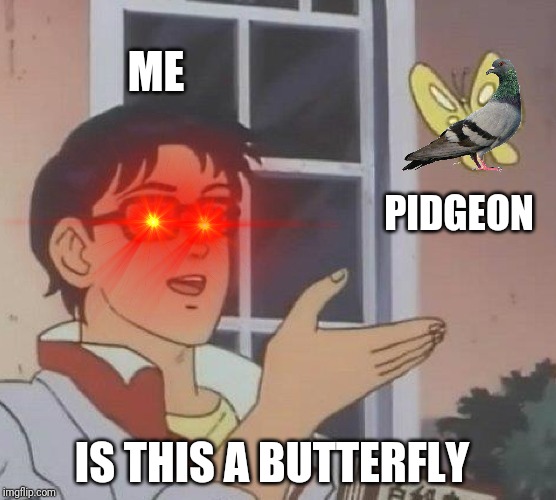 Is This A Pigeon Meme | ME; PIDGEON; IS THIS A BUTTERFLY | image tagged in memes,is this a pigeon | made w/ Imgflip meme maker