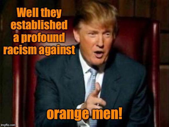 Donald Trump | Well they established a profound racism against orange men! | image tagged in donald trump | made w/ Imgflip meme maker