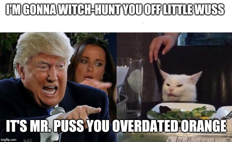 Trump yells at cat | I'M GONNA WITCH-HUNT YOU OFF LITTLE WUSS; IT'S MR. PUSS YOU OVERDATED ORANGE | image tagged in trump yelling at cat,kitten | made w/ Imgflip meme maker