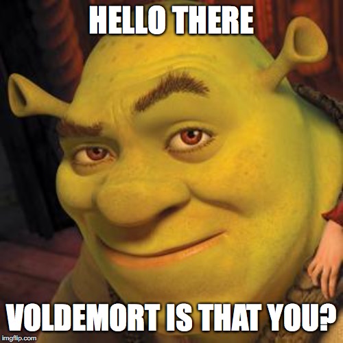 Shrek Sexy Face | HELLO THERE; VOLDEMORT IS THAT YOU? | image tagged in shrek sexy face | made w/ Imgflip meme maker