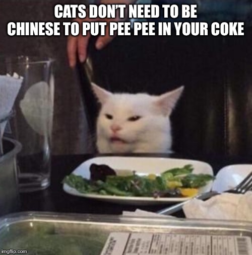 Annoyed White Cat | CATS DON’T NEED TO BE CHINESE TO PUT PEE PEE IN YOUR COKE | image tagged in annoyed white cat | made w/ Imgflip meme maker
