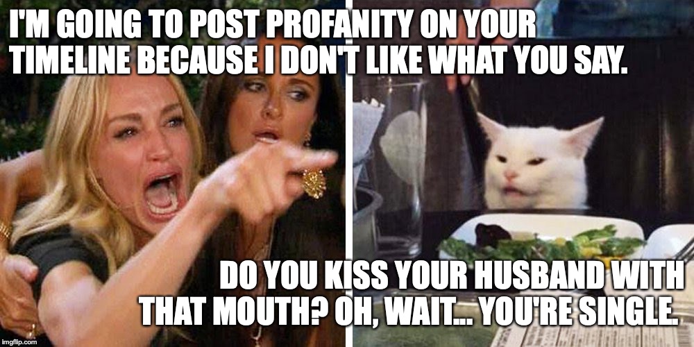 Smudge the cat | I'M GOING TO POST PROFANITY ON YOUR TIMELINE BECAUSE I DON'T LIKE WHAT YOU SAY. DO YOU KISS YOUR HUSBAND WITH THAT MOUTH? OH, WAIT... YOU'RE SINGLE. | image tagged in smudge the cat | made w/ Imgflip meme maker