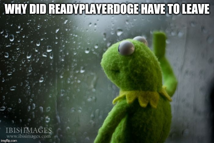 kermit window | WHY DID READYPLAYERDOGE HAVE TO LEAVE | image tagged in kermit window | made w/ Imgflip meme maker