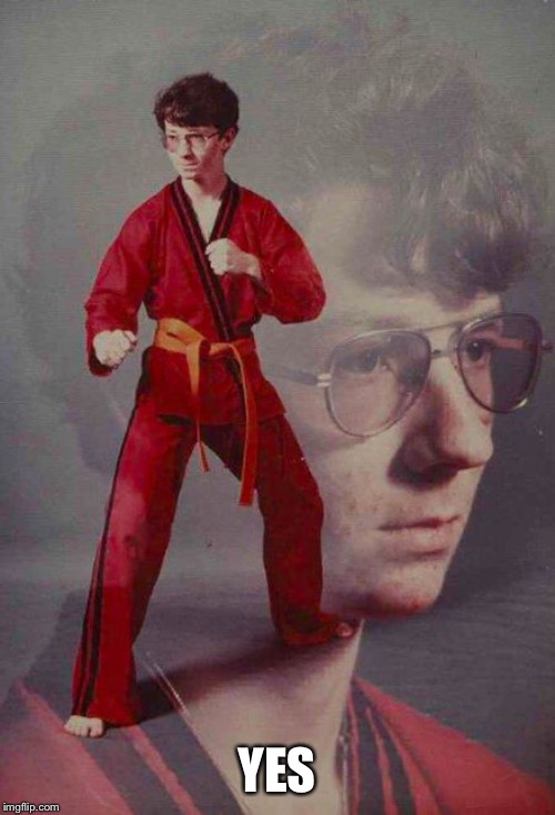 Karate Kyle | YES | image tagged in karate kyle | made w/ Imgflip meme maker