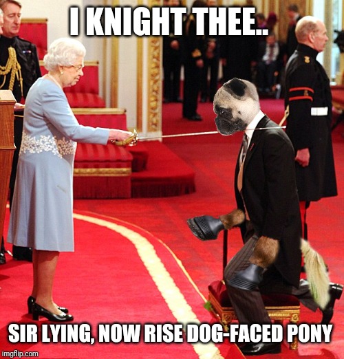 England's Awesome |  I KNIGHT THEE.. SIR LYING, NOW RISE DOG-FACED PONY | image tagged in face,soldier,dog,lying | made w/ Imgflip meme maker